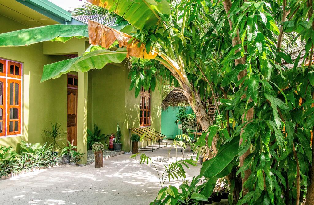 Chill Holidays Maldives Maamigili Island Luaran gambar