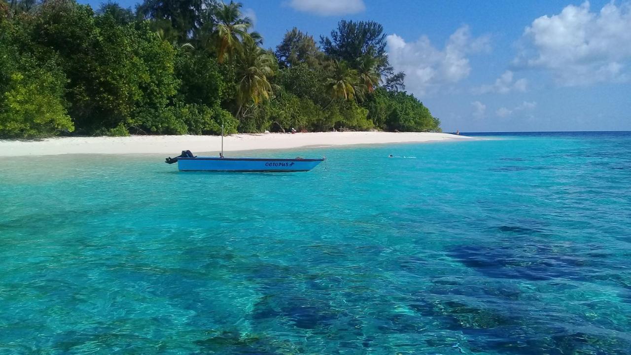Chill Holidays Maldives Maamigili Island Luaran gambar